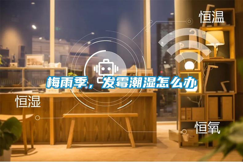 梅雨季，發(fā)霉潮濕怎么辦