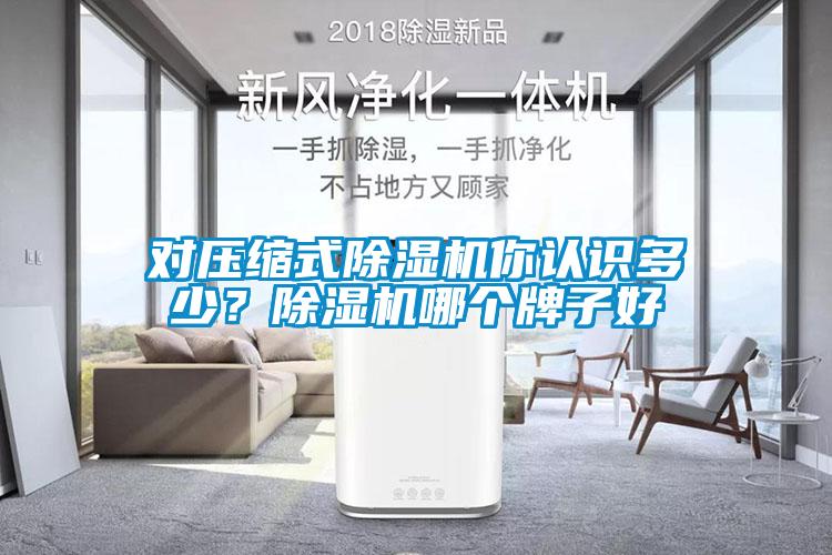 對壓縮式除濕機(jī)你認(rèn)識多少？除濕機(jī)哪個(gè)牌子好