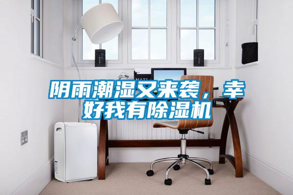 陰雨潮濕又來襲，幸好我有除濕機