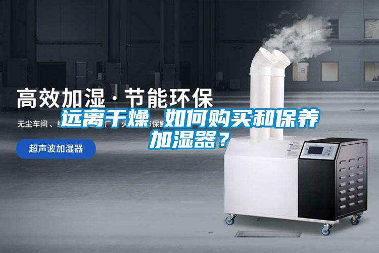 遠(yuǎn)離干燥 如何購(gòu)買和保養(yǎng)加濕器？