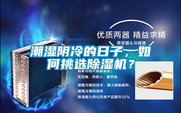 潮濕陰冷的日子，如何挑選除濕機(jī)？