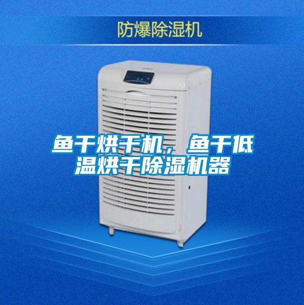 魚干烘干機(jī)，魚干低溫烘干除濕機(jī)器