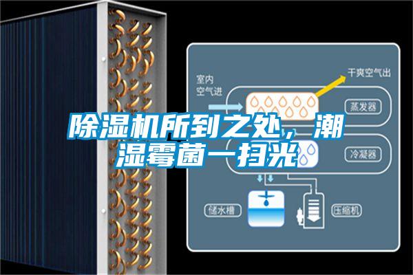 除濕機所到之處，潮濕霉菌一掃光