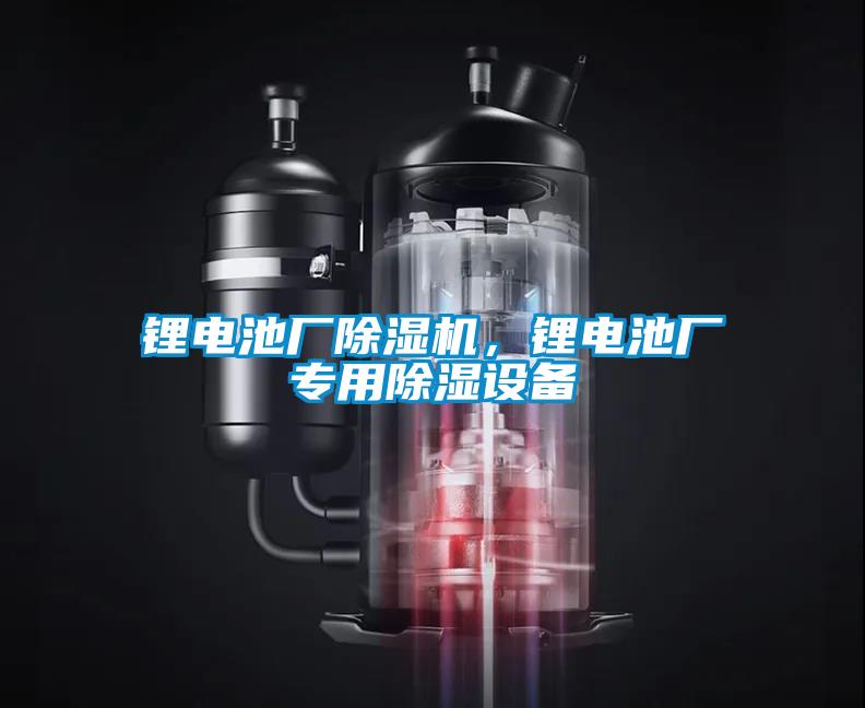 鋰電池廠除濕機(jī)，鋰電池廠專用除濕設(shè)備