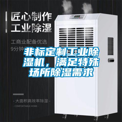 非標定制工業(yè)除濕機，滿足特殊場所除濕需求