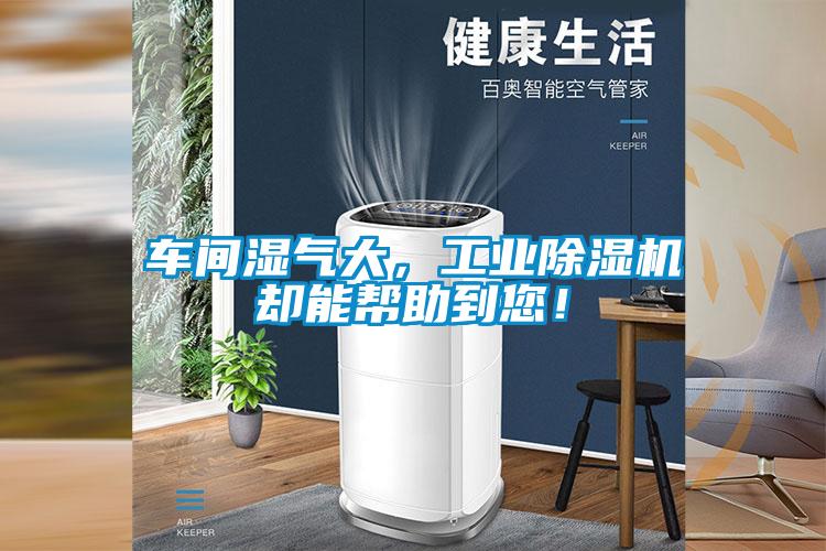 車間濕氣大，工業(yè)除濕機(jī)卻能幫助到您！