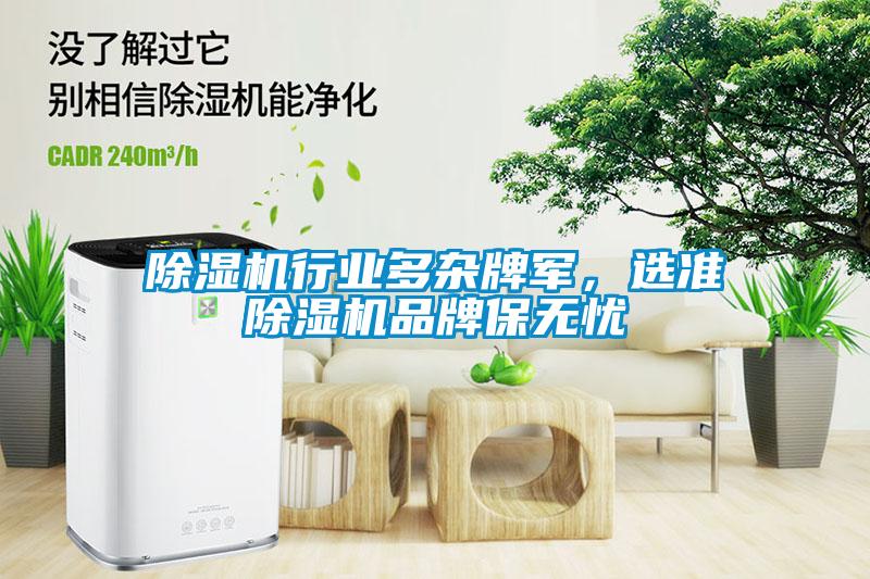 除濕機行業(yè)多雜牌軍，選準除濕機品牌保無憂