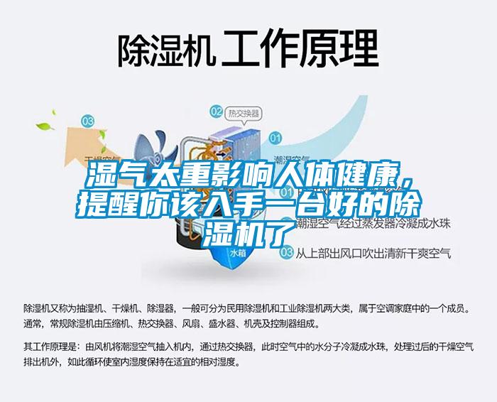 濕氣太重影響人體健康，提醒你該入手一臺(tái)好的除濕機(jī)了