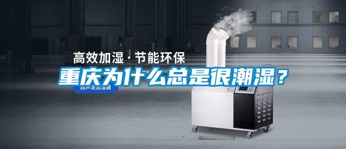 重慶為什么總是很潮濕？