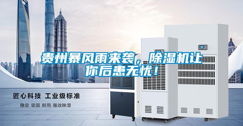 貴州暴風雨來襲，除濕機讓你后患無憂！