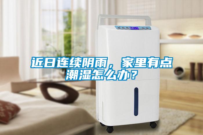 近日連續(xù)陰雨，家里有點(diǎn)潮濕怎么辦？