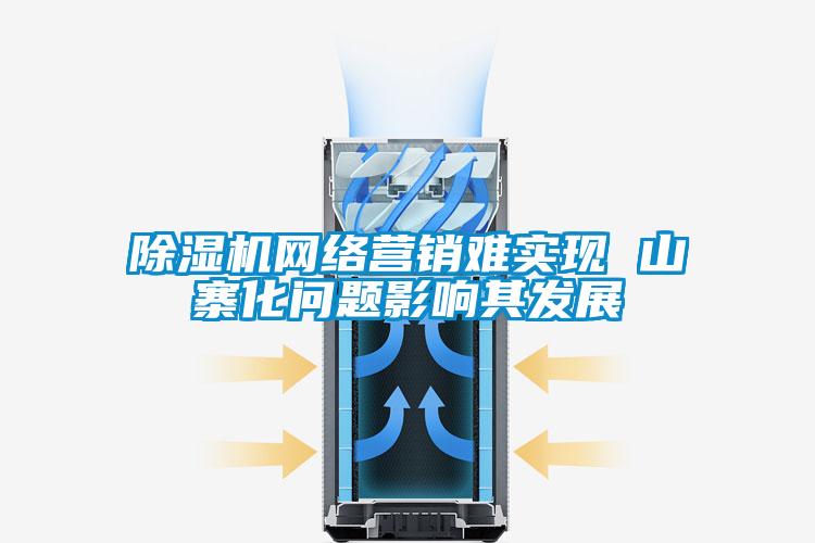 除濕機(jī)網(wǎng)絡(luò)營(yíng)銷難實(shí)現(xiàn) 山寨化問(wèn)題影響其發(fā)展