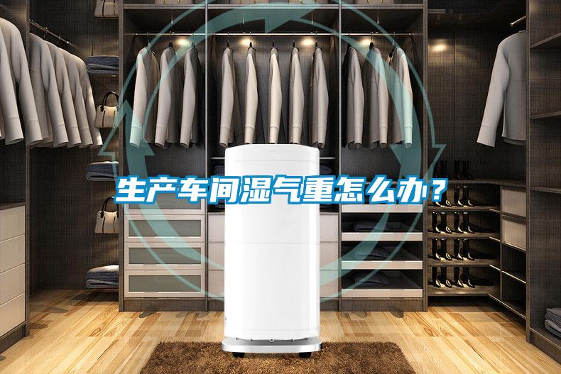 生產車間濕氣重怎么辦？