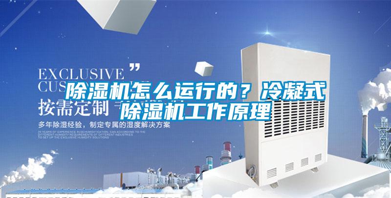 除濕機怎么運行的？冷凝式除濕機工作原理