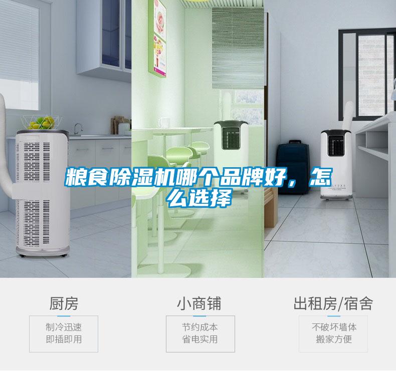 糧食除濕機(jī)哪個(gè)品牌好，怎么選擇