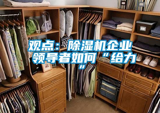 觀點：除濕機企業(yè) 領(lǐng)導者如何“給力”