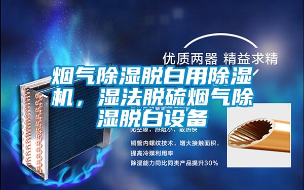 煙氣除濕脫白用除濕機，濕法脫硫煙氣除濕脫白設(shè)備