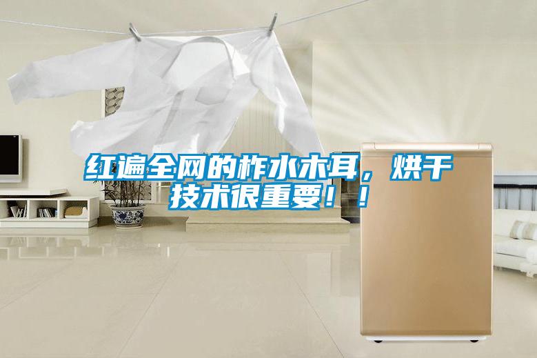 紅遍全網(wǎng)的柞水木耳，烘干技術(shù)很重要??！