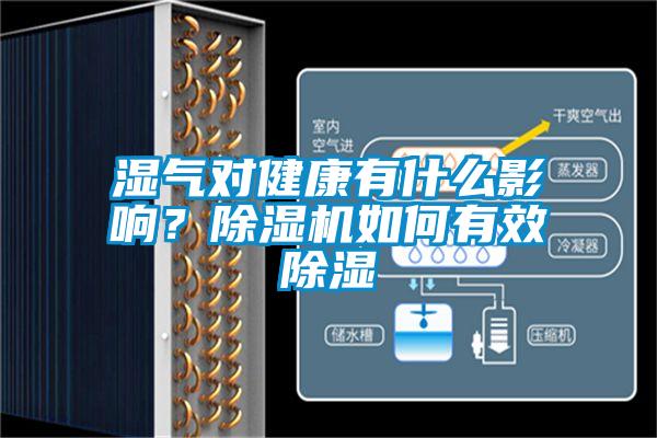 濕氣對(duì)健康有什么影響？除濕機(jī)如何有效除濕