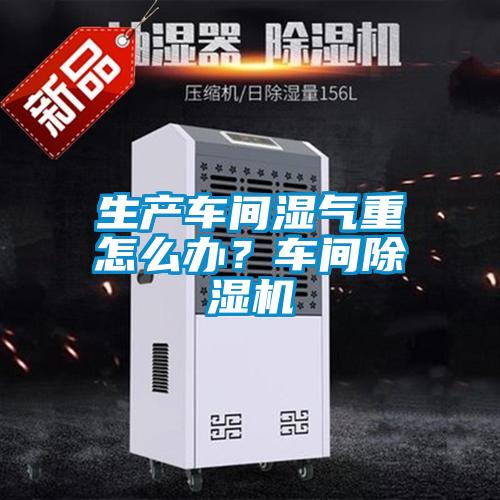 生產(chǎn)車間濕氣重怎么辦？車間除濕機(jī)
