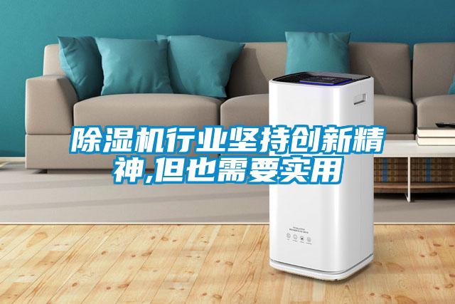 除濕機(jī)行業(yè)堅持創(chuàng)新精神,但也需要實用