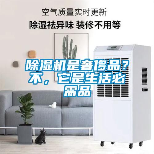 除濕機是奢侈品？不，它是生活必需品