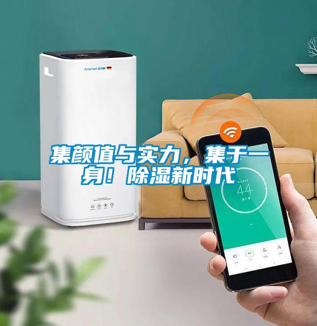 集顏值與實力，集于一身！除濕新時代