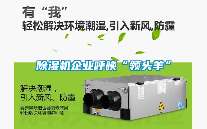除濕機企業(yè)呼喚“領頭羊”