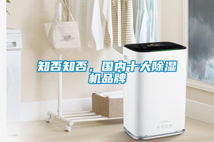 知否知否，國(guó)內(nèi)十大除濕機(jī)品牌