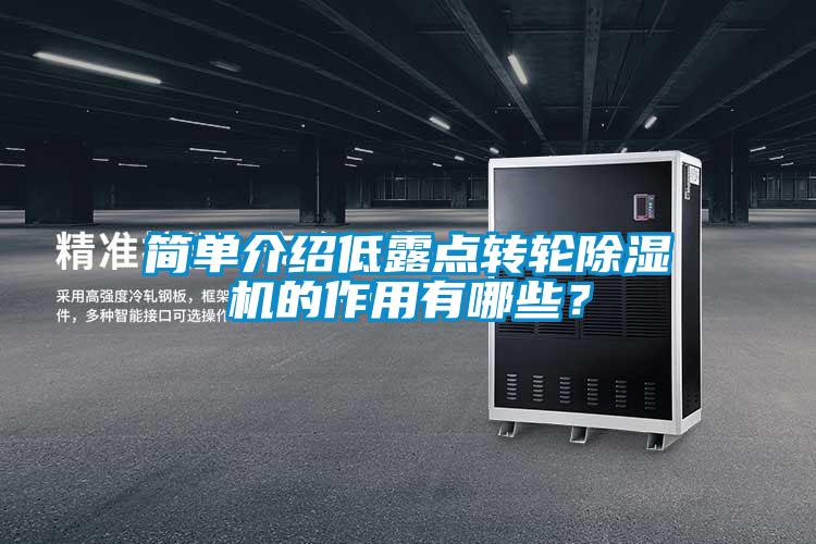 簡單介紹低露點轉(zhuǎn)輪除濕機的作用有哪些？