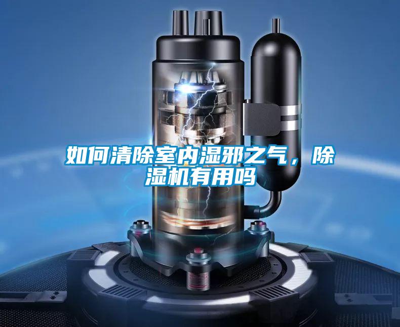 如何清除室內(nèi)濕邪之氣，除濕機(jī)有用嗎