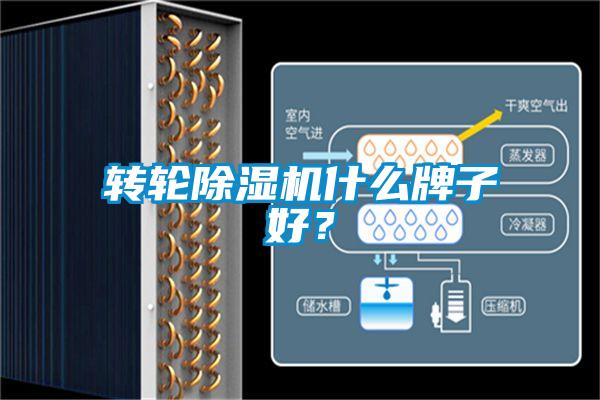 轉(zhuǎn)輪除濕機(jī)什么牌子好？