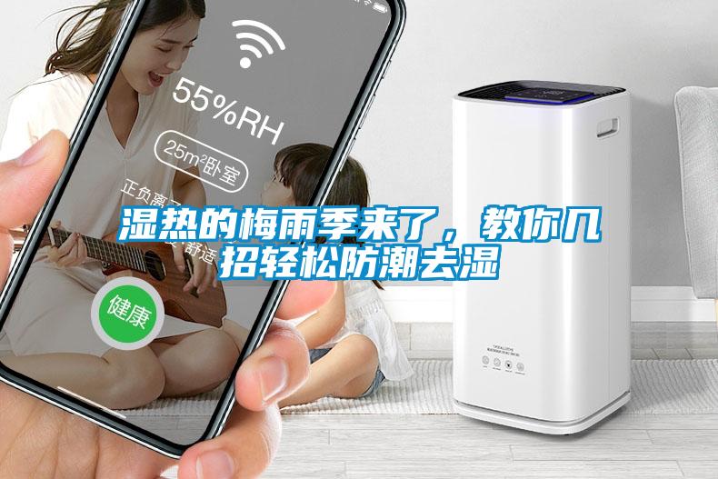 濕熱的梅雨季來(lái)了，教你幾招輕松防潮去濕