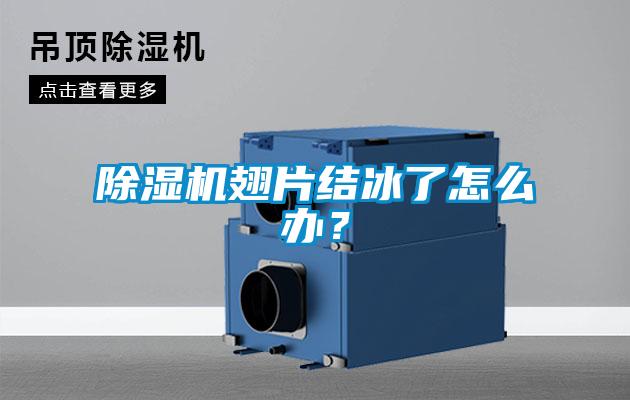 除濕機(jī)翅片結(jié)冰了怎么辦？
