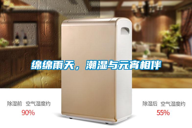 綿綿雨天，潮濕與元宵相伴