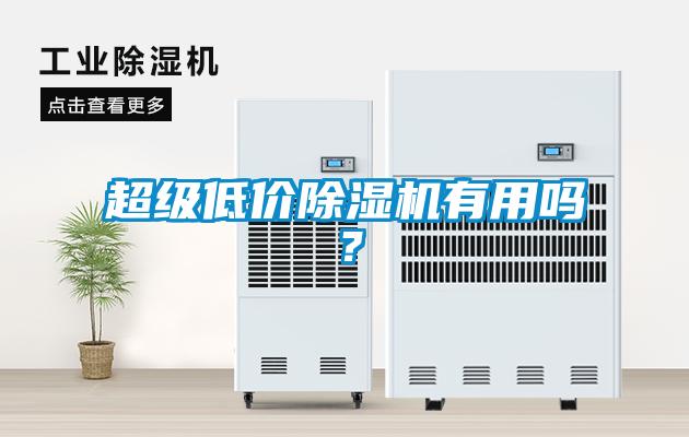 超級(jí)低價(jià)除濕機(jī)有用嗎？