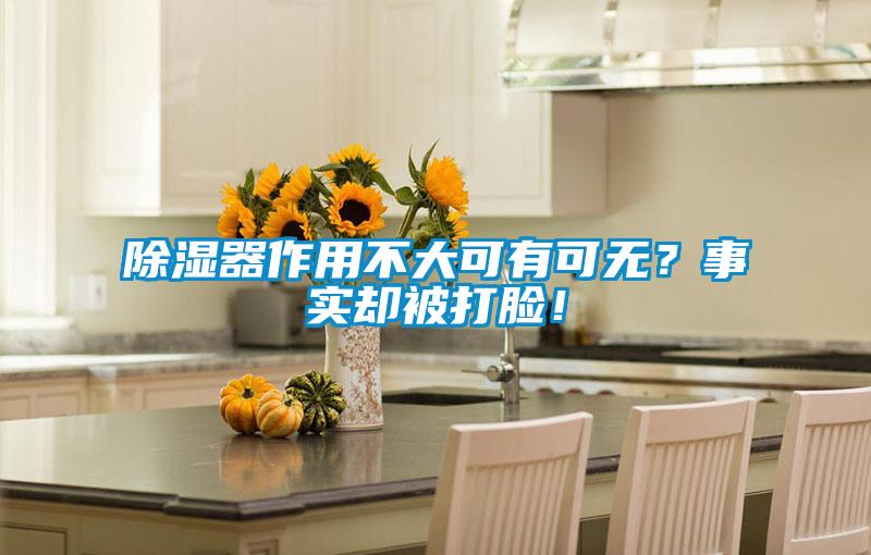 除濕器作用不大可有可無？事實(shí)卻被打臉！