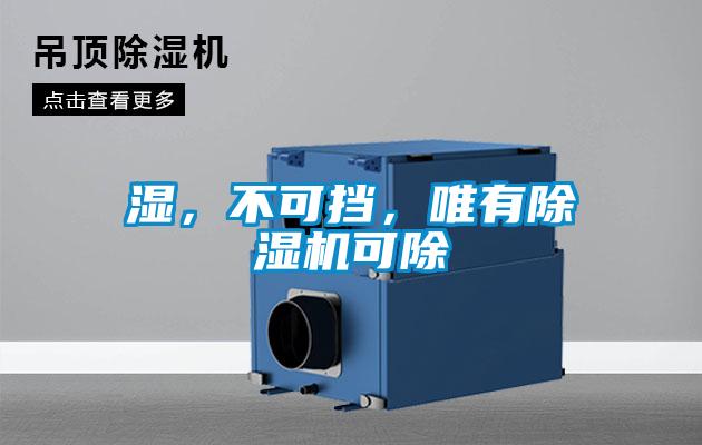 濕，不可擋，唯有除濕機(jī)可除