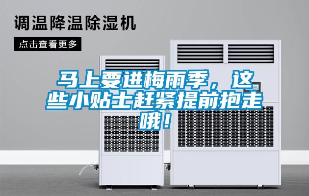 馬上要進(jìn)梅雨季，這些小貼士趕緊提前抱走哦！
