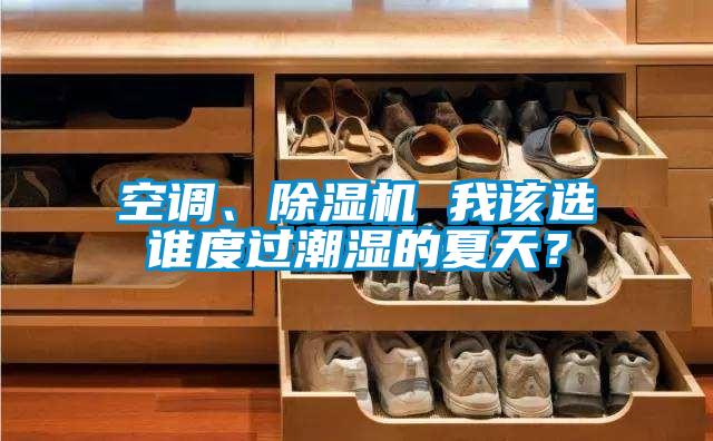 空調(diào)、除濕機 我該選誰度過潮濕的夏天？