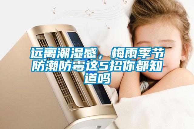 遠離潮濕感，梅雨季節(jié)防潮防霉這5招你都知道嗎
