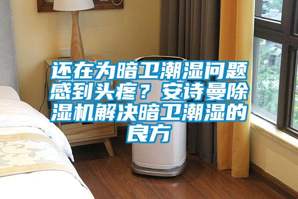 還在為暗衛(wèi)潮濕問題感到頭疼？安詩曼除濕機(jī)解決暗衛(wèi)潮濕的良方