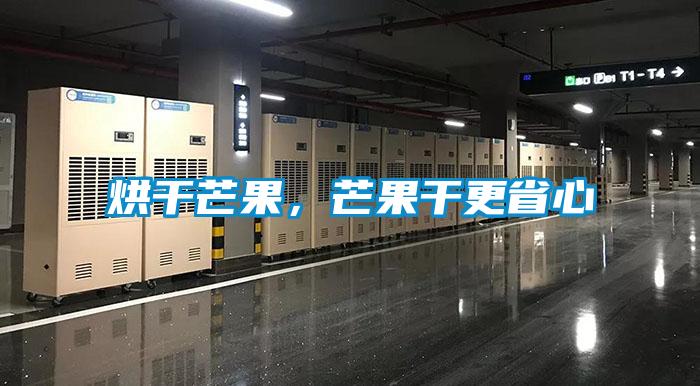 烘干芒果，芒果干更省心
