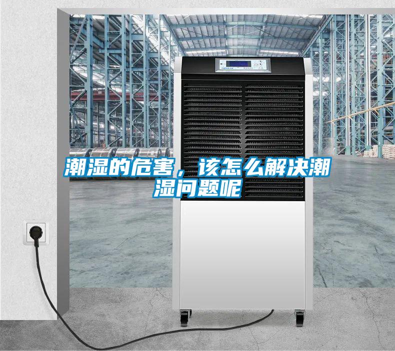 潮濕的危害，該怎么解決潮濕問題呢