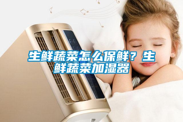 生鮮蔬菜怎么保鮮？生鮮蔬菜加濕器