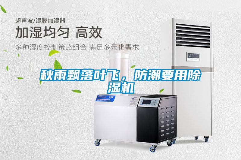 秋雨飄落葉飛，防潮要用除濕機(jī)