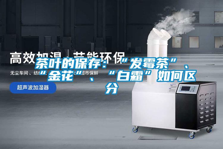 茶葉的保存：“發(fā)霉茶”、“金花”、“白霜”如何區(qū)分