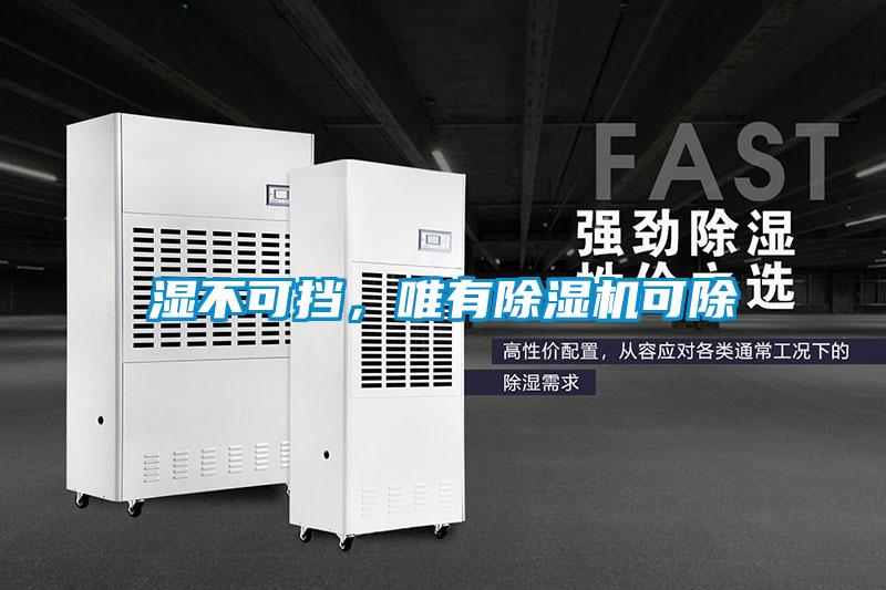 濕不可擋，唯有除濕機(jī)可除