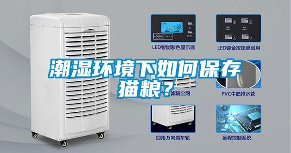 潮濕環(huán)境下如何保存貓糧？