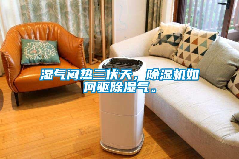 濕氣悶熱三伏天，除濕機(jī)如何驅(qū)除濕氣。
